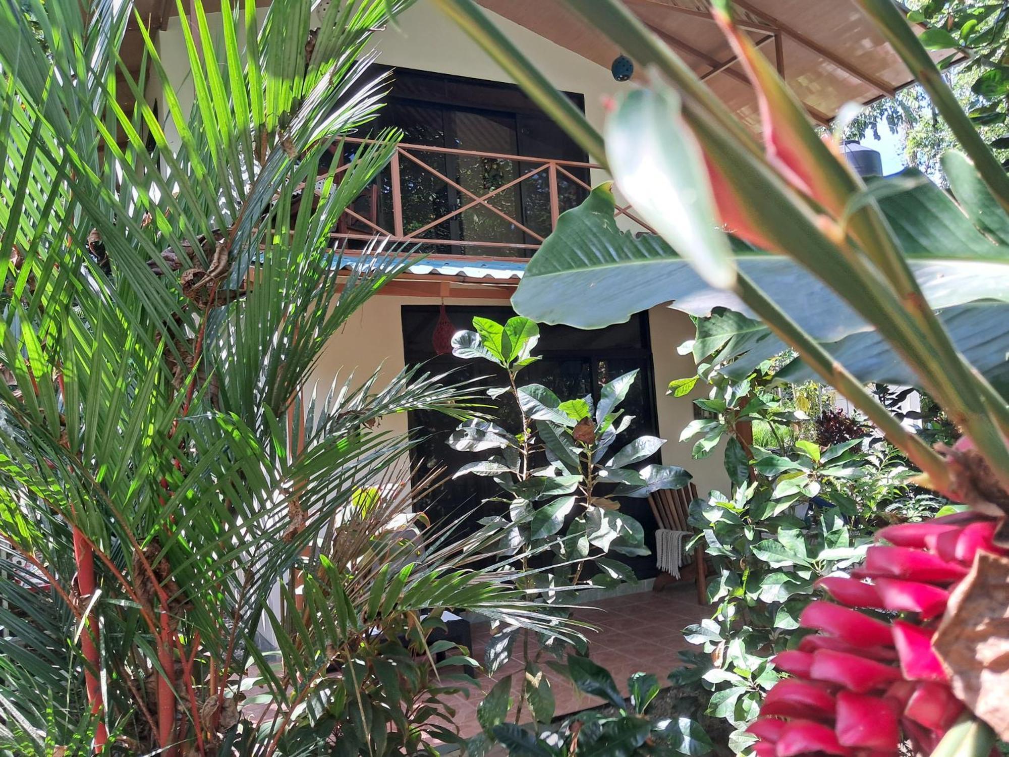 New Caribe Point Villa Cahuita Exterior photo