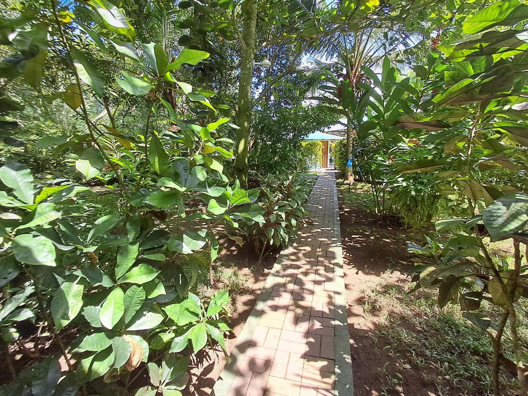 New Caribe Point Villa Cahuita Exterior photo