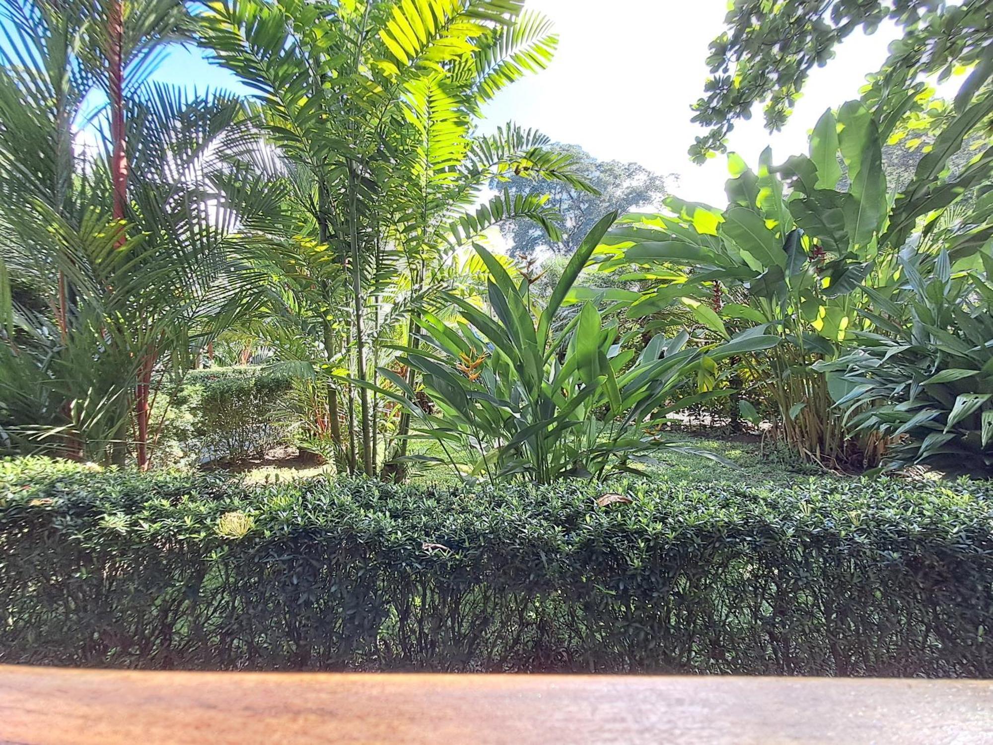 New Caribe Point Villa Cahuita Exterior photo